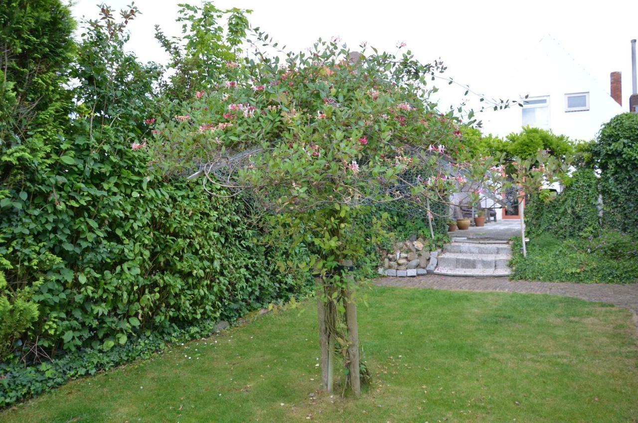 Home Sweet Home Breskens Bagian luar foto